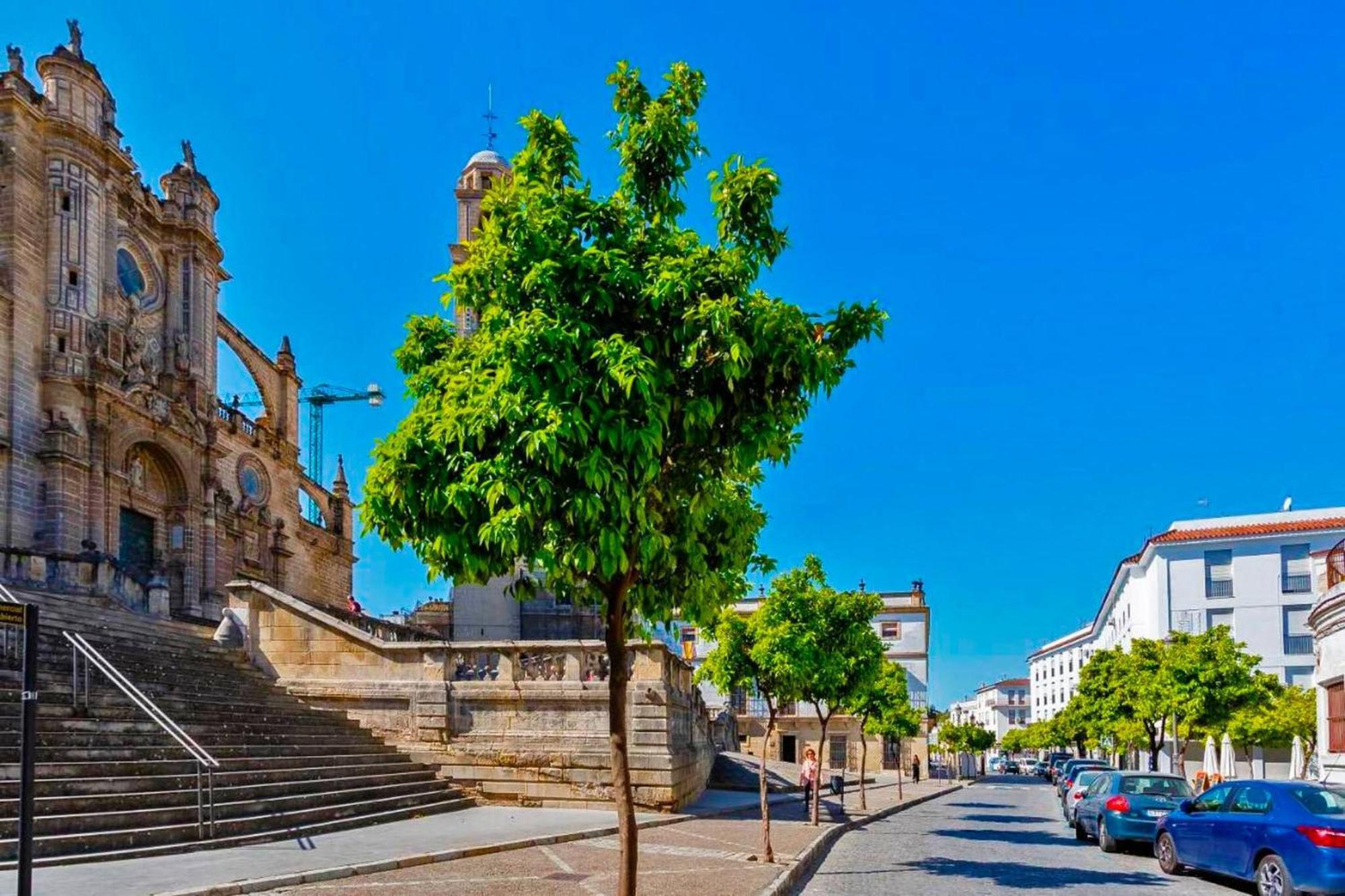 La Torre De La Catedral - Ole Solutions Leilighet Jerez de la Frontera Eksteriør bilde